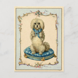 Carte Postale Chien Mignon Coussin Bleu Reproduction Vintage