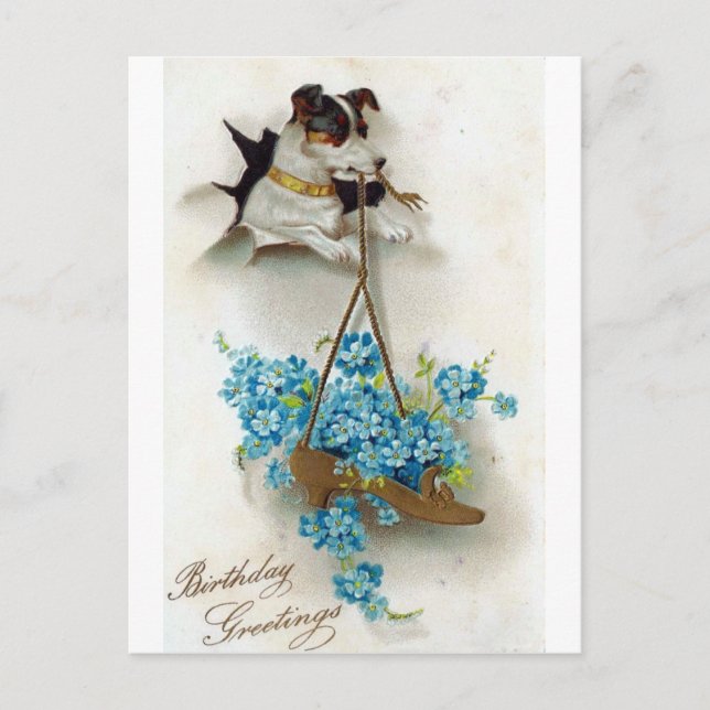 Carte Postale Chien mignon et chaussure voeux d'anniversaire (Devant)