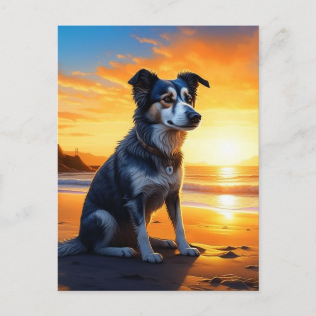 Carte Postale Chien mignon sur la plage au coucher du soleil | B (Devant)