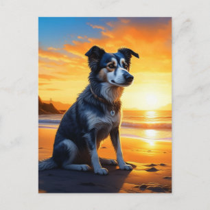 Carte Postale Chien mignon sur la plage au coucher du soleil   D