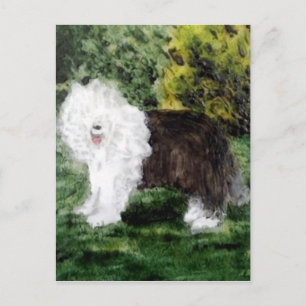 Carte Postale Chien peignant vieux chien anglais