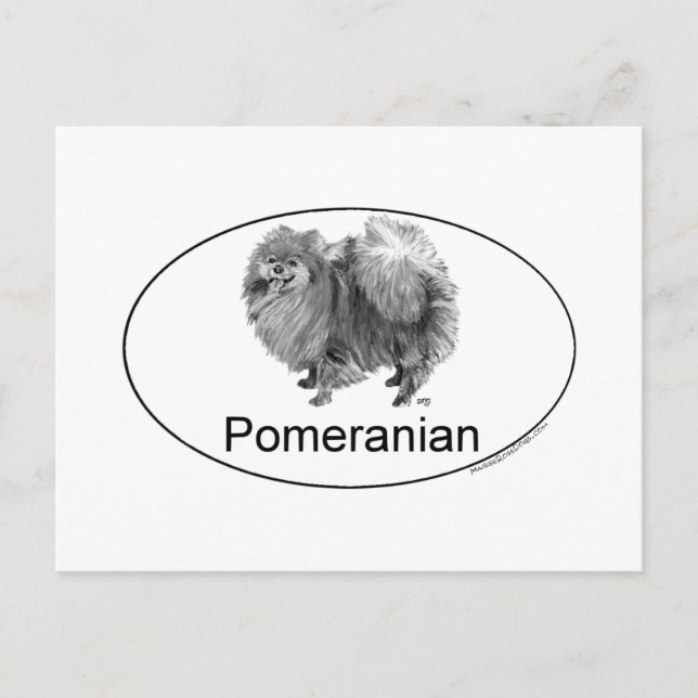 Carte Postale Chien Poméranie Eruo (Devant)