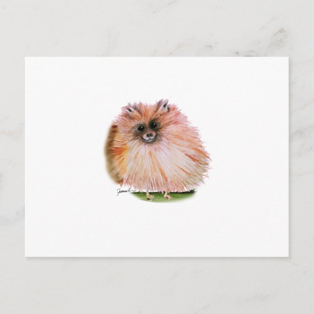 Carte Postale chien poméranien, tony fernandes (Devant)