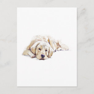 Carte postale Chien Retriever doré Cadeau amateur 