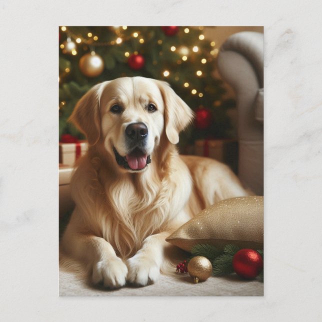 Carte Postale Chien Retriever doré Noël (Devant)