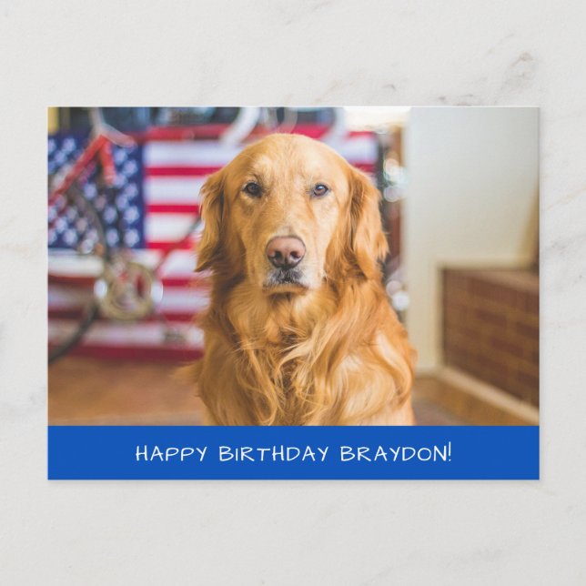 Carte Postale Chien Retriever Golden Mignon (Devant)