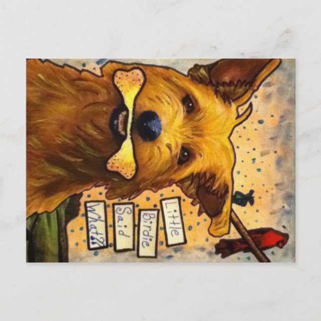 Carte postale Chien Rumeur (Devant)