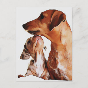 Carte Postale Chien Saucisse Chien Chien Chien Chiens 7 Semaines