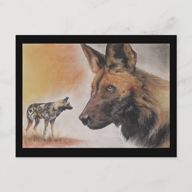Carte Postale Chien sauvage africain (Devant)