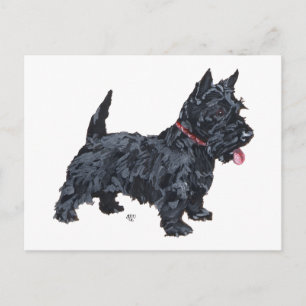 Carte Postale Chien Scottie fougueux