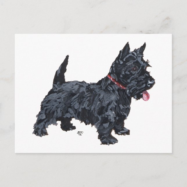 Carte Postale Chien Scottie fougueux (Devant)