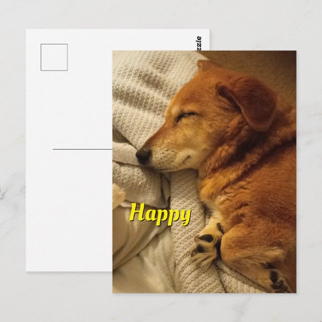 Carte Postale Chien Sourire (Devant / Derrière)