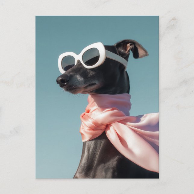 Carte Postale Chien Stylé Avec Lunettes De Soleil Écharpe (Devant)