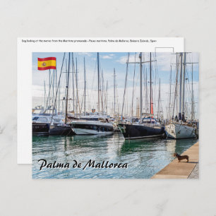 Carte Postale Chien sur Paseo maritimo - Palma de Mallorca
