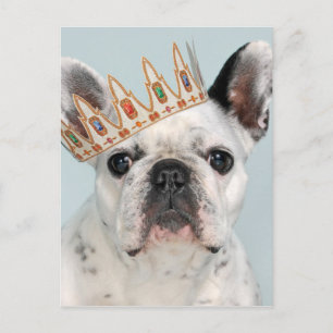 Carte Postale Chien-taureau français avec couronne