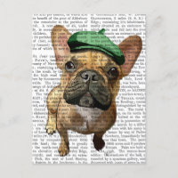 Chien-taureau français Brown avec Casquette vert 2