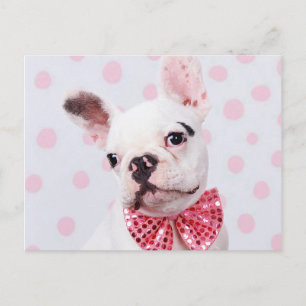 Carte Postale Chien-taureaux français avec Cravate de cou