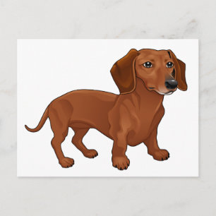 Carte Postale Chien teckel chiot - Bonjour, Pensées pour toi, Am