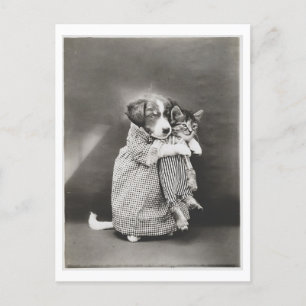 Carte Postale Chien tenant un chat et portant des vêtements Oddi