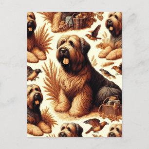 Carte Postale Chien vintage Briard sans soudure