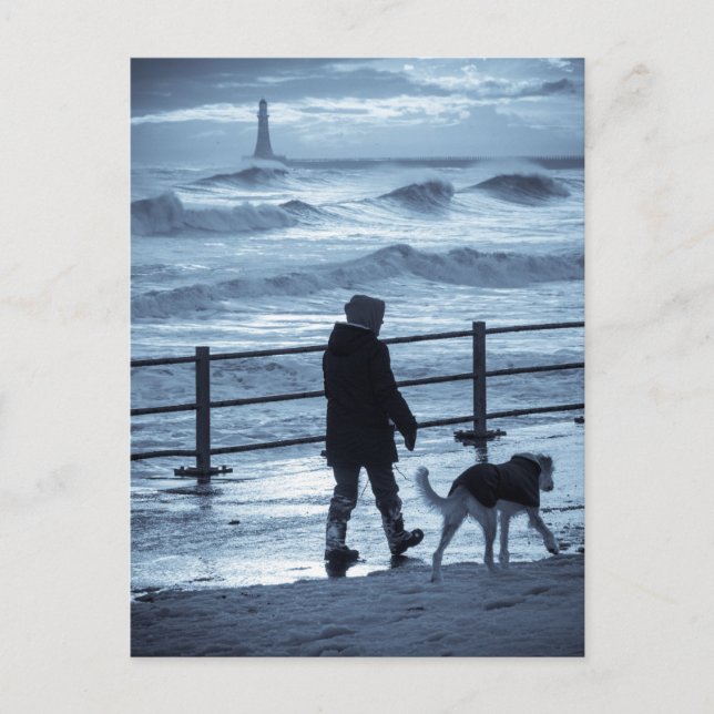 Carte Postale Chien Walker à Roker (Devant)