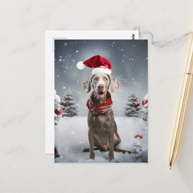 Carte Postale Chien Weimaraner de Noël (Devant/Arrière en situation)