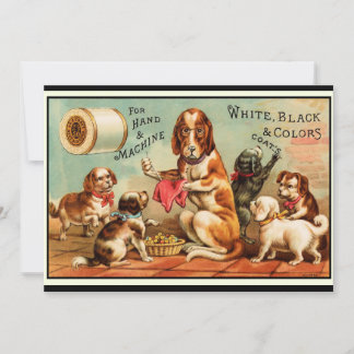 Carte postale Chiens à coudre