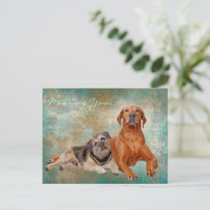 Carte Postale Chiens Adorables Sur L'Art Qui Vous Manquent