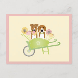 Carte Postale Chiens Brown En Fleurs De Printemps En Fleurs De B