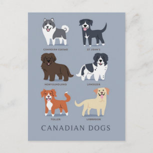 Carte Postale Chiens canadiens
