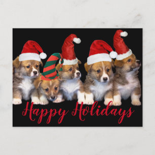 Carte Postale Chiens Chiens Chiots Joyeux Fêtes Noël