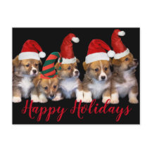 Chiens Chiens Chiots Joyeux Fêtes Noël