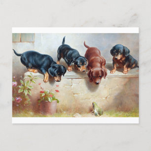 Carte Postale Chiens Chiots Grenouille Illustration Vintage Cart