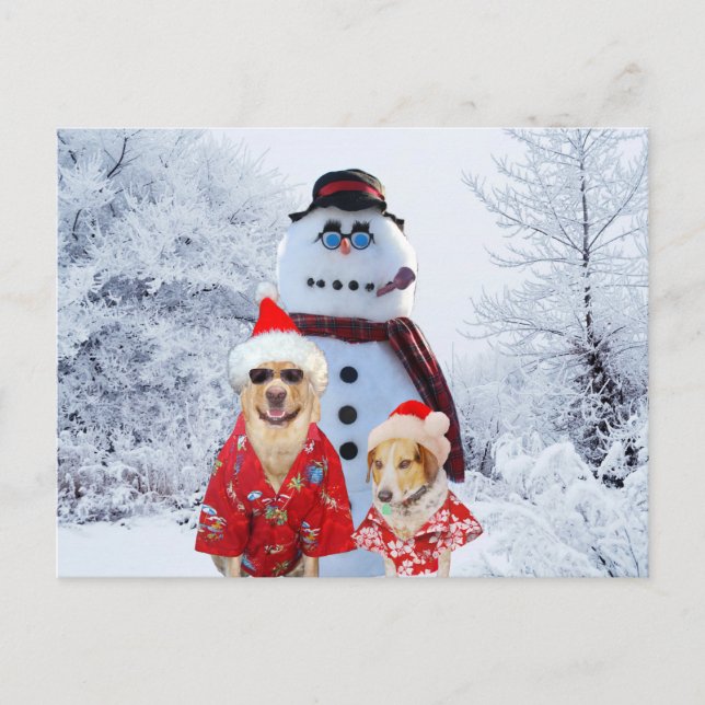 Carte Postale Chiens cool et Snowman (Devant)