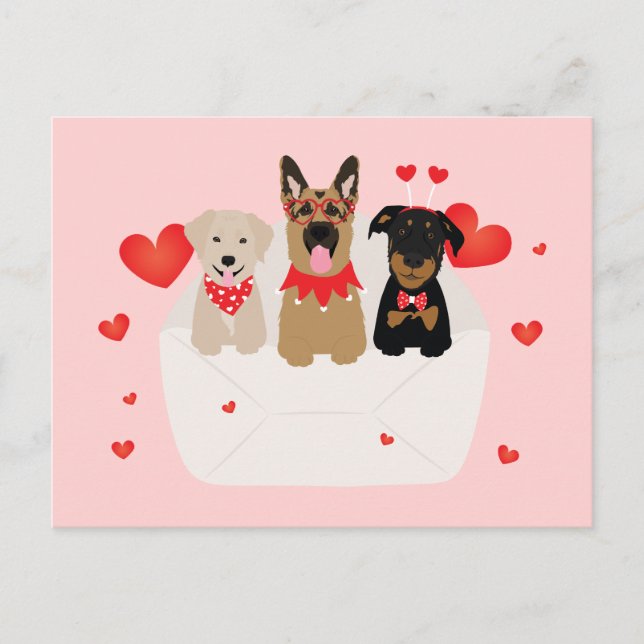 Carte Postale Chiens Dans L'Amour Enveloppe (Devant)