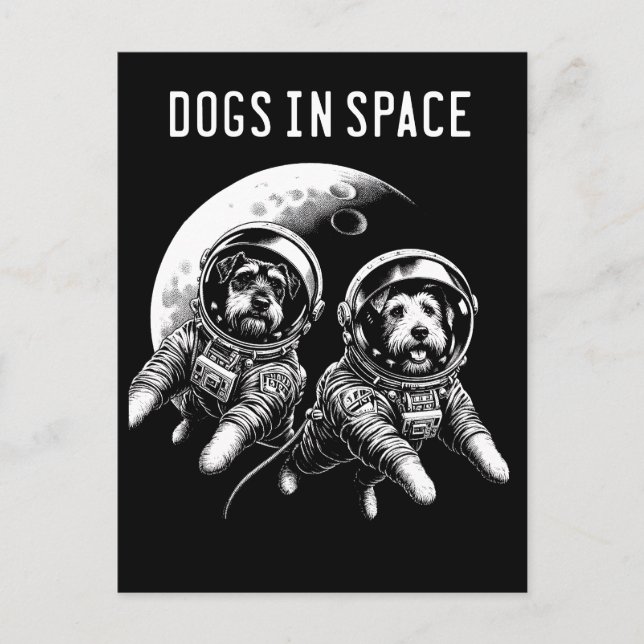 Carte Postale Chiens Dans L'Astronaute Spatiale Cosmonaut Terrie (Devant)