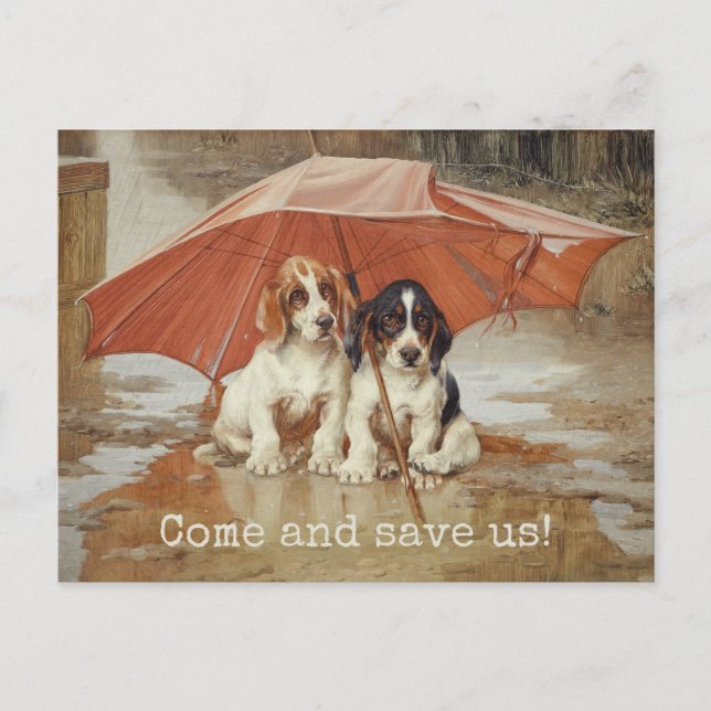 Carte Postale Chiens de chien Basset sous parapluie CC0181 Trood (Devant)