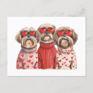 Carte Postale Chiens de Chih Tzu de la fête de Valentines