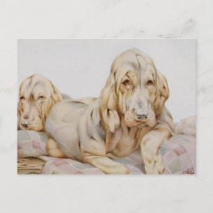 Carte Postale Chiens de chiots vintages, chiens de chiots par EJ