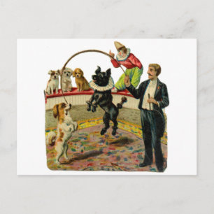 Carte Postale Chiens de cirque victorien, Clown de formateur