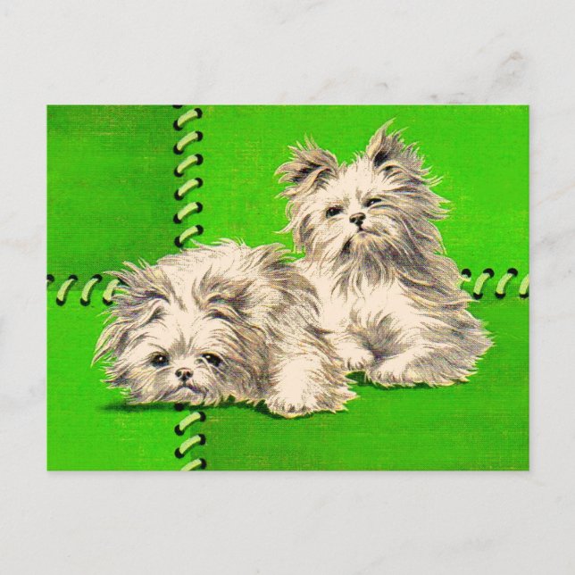 Carte Postale chiens de couverture mignons (Devant)