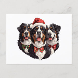 Carte Postale Chiens de montagne bernois de Noël