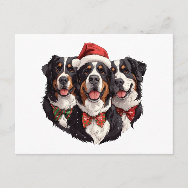 Carte Postale Chiens de montagne bernois de Noël (Devant)