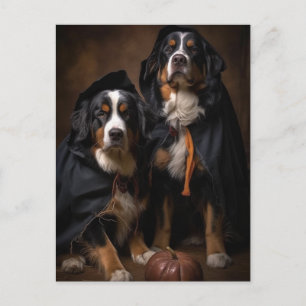 Carte postale Chiens de montagne bernois d'Hallowe