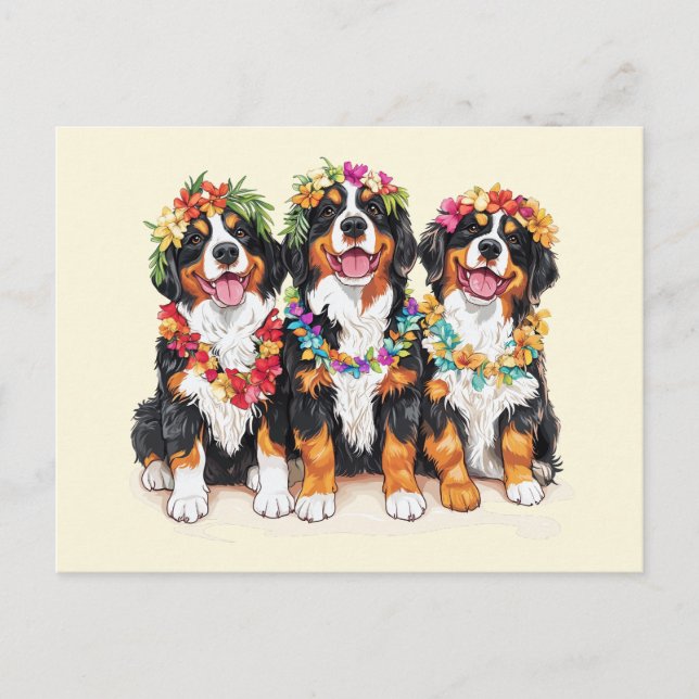 Carte Postale Chiens de montagne bernois d'Hawaï (Devant)