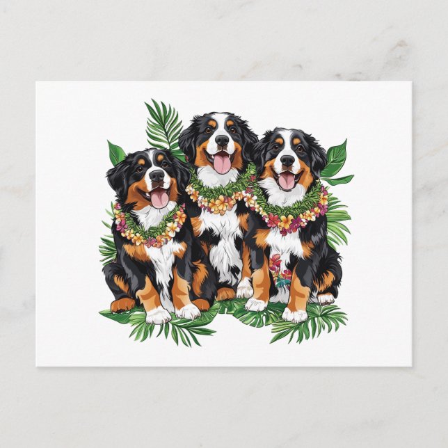 Carte Postale Chiens de montagne bernois d'Hawaï (Devant)