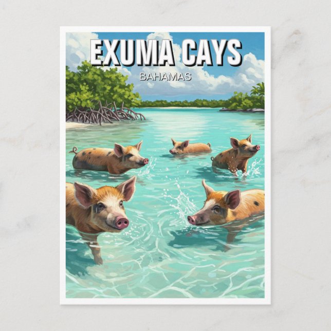 Carte Postale Chiens de natation Exuma Cays Bahamas Voyage (Devant)