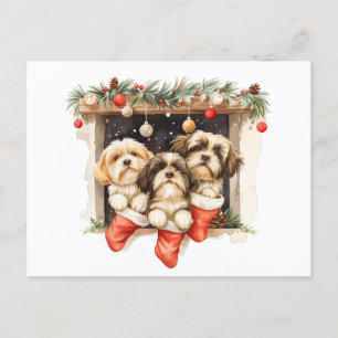 Carte Postale Chiens de Noël Chih Tzu