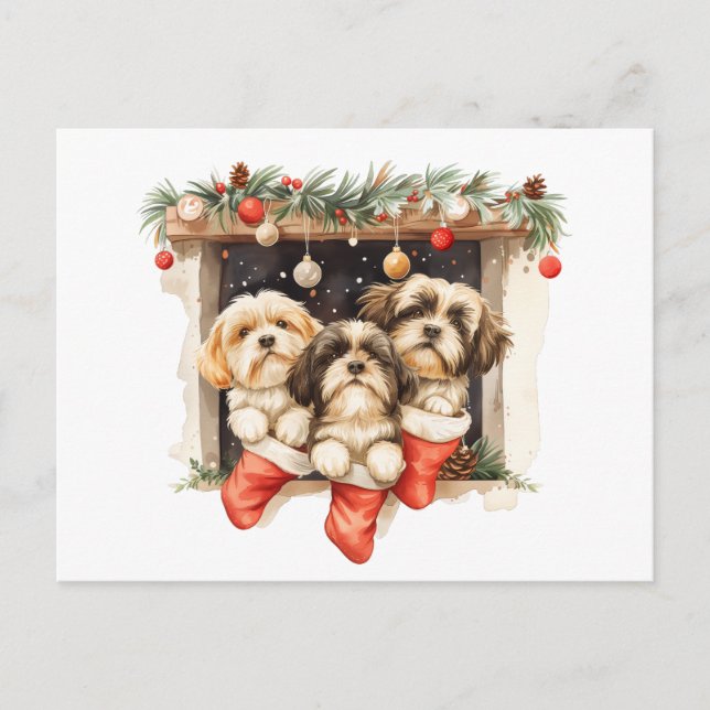 Carte Postale Chiens de Noël Chih Tzu (Devant)