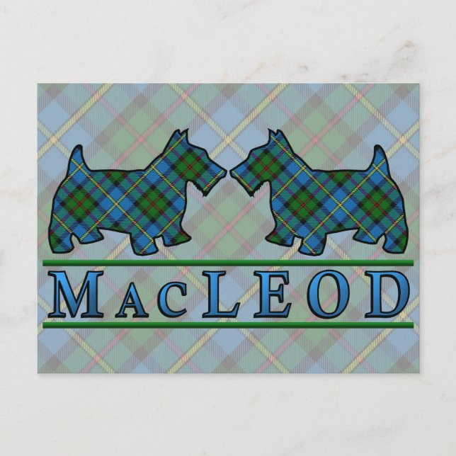 Carte Postale Chiens de Tartan du Clan MacLeod (Devant)